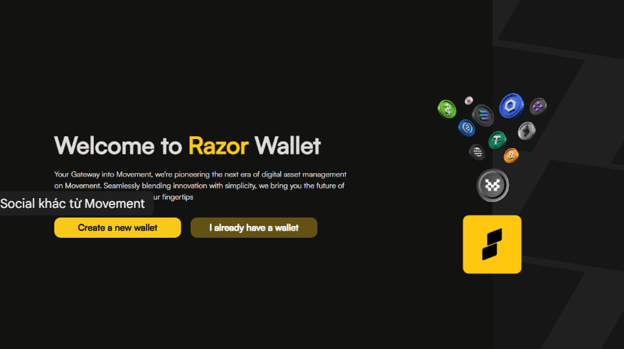 Bước 1: Cài đặt ví Razor Wallet 